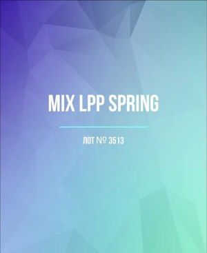 LPP Spring mix - Сток оптом