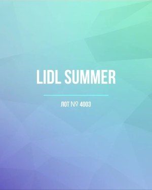 LIDL Summer - Сток оптом